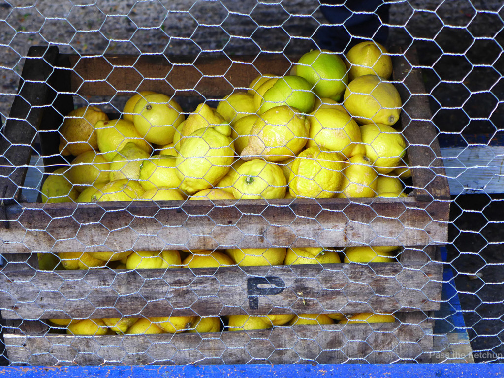 Bird Box Rotisserie Lemons